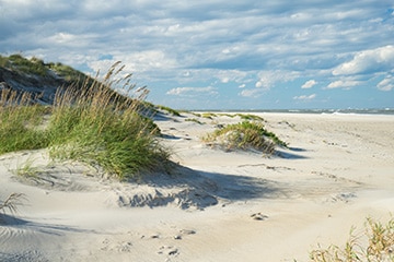 frisse gezonde lucht